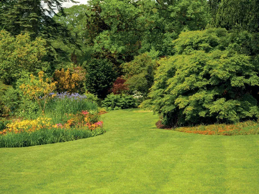 A neatly striped lawn edged by healthy shrubs and colourful flower borders